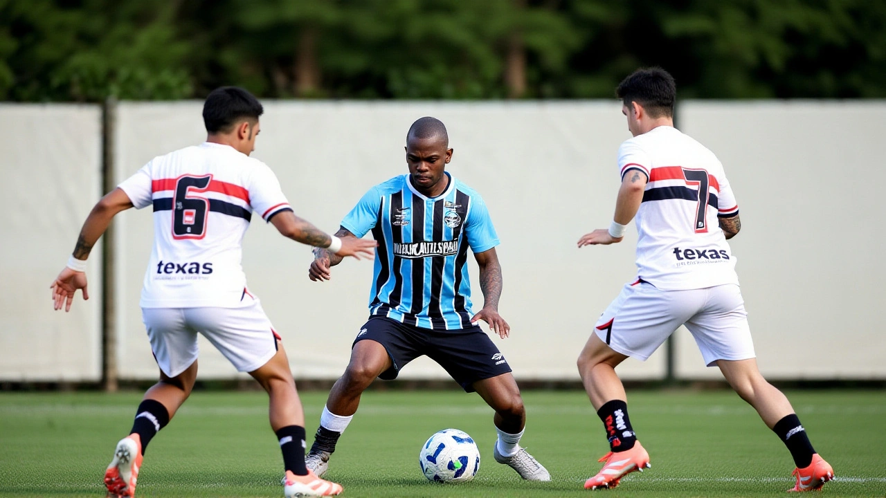 Próximos passos e o que esperar